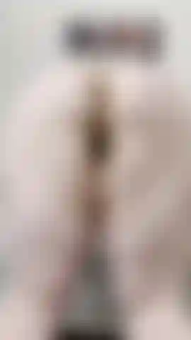 Un minuto e mezzo che applaude il culo.