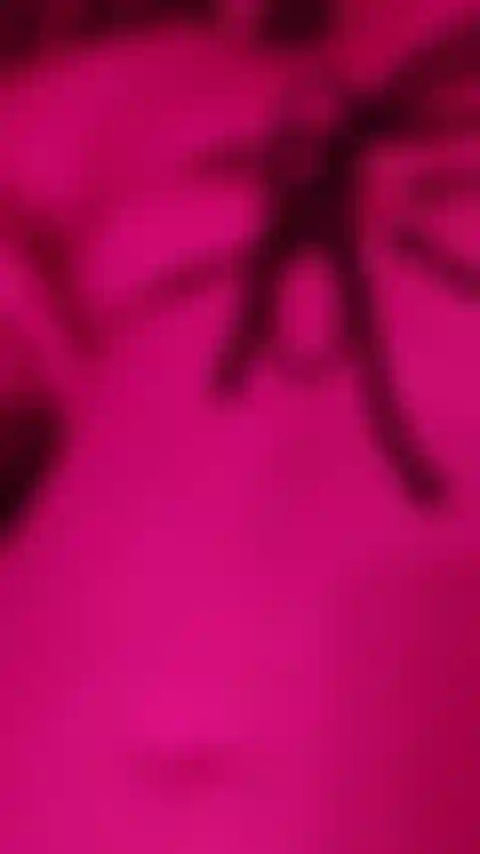 Stuzzica i capezzoli per te con un nuovo bikini.