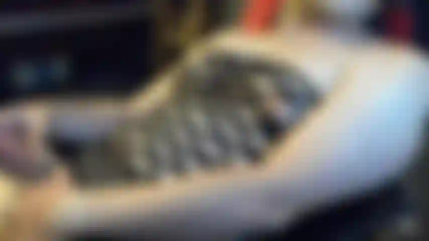 Il coglione del cazzo di chub prende in giro il vestito nero n.