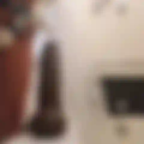 Un enorme dildo nero.