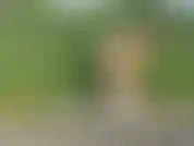 In posa nuda nei campi d'irlanda.