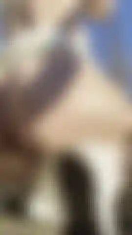 Swinging Naked Outside