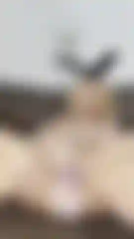 BUNNY masturbating video  grabbed my purple dildo and starting fucking my tight wet little pussy baby with my bunny tail butt plug in  I know you love hearing how wet I get enjoy this cheapie for Easter