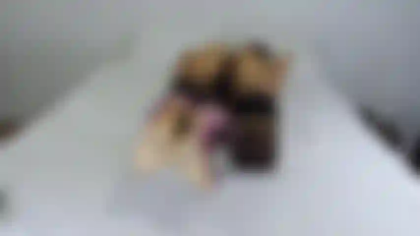 Sesso anale 1 parte.