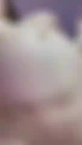 Mik pancione incinta, video hot.