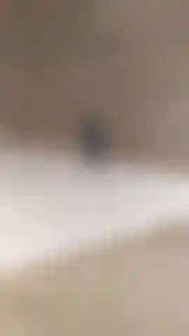 Pecorina sotto la doccia mi lavo e mi accarezzo la figa. Figa e ano in primo piano per te.