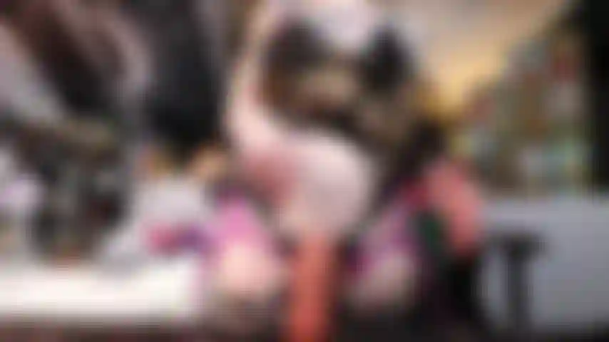 La ragazza gotica ti inchioda.