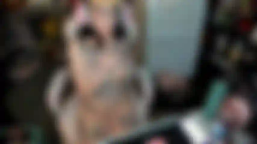 Una ragazza giocatrice si masturba per te e fa un pompino disordinato.