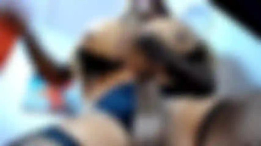 Un grosso carico di sperma.