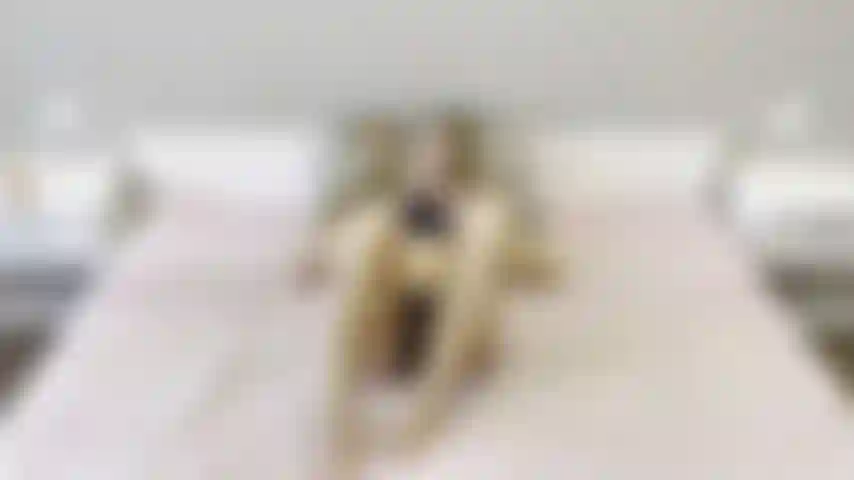 Solo 08/01/2023. Ti piace vedere come gioco con il mio dildo e come trovo la figa super cremosa?