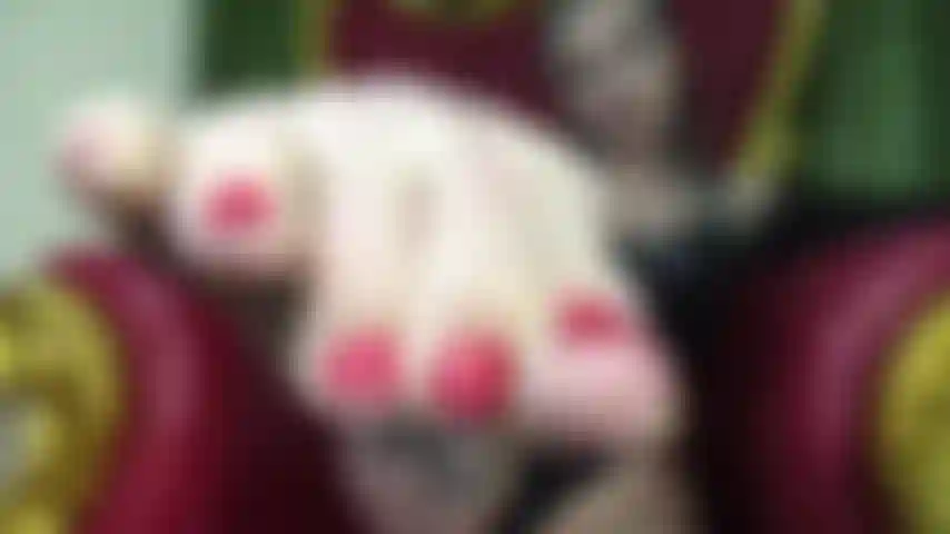 Una pervertita dei piedi asmr.